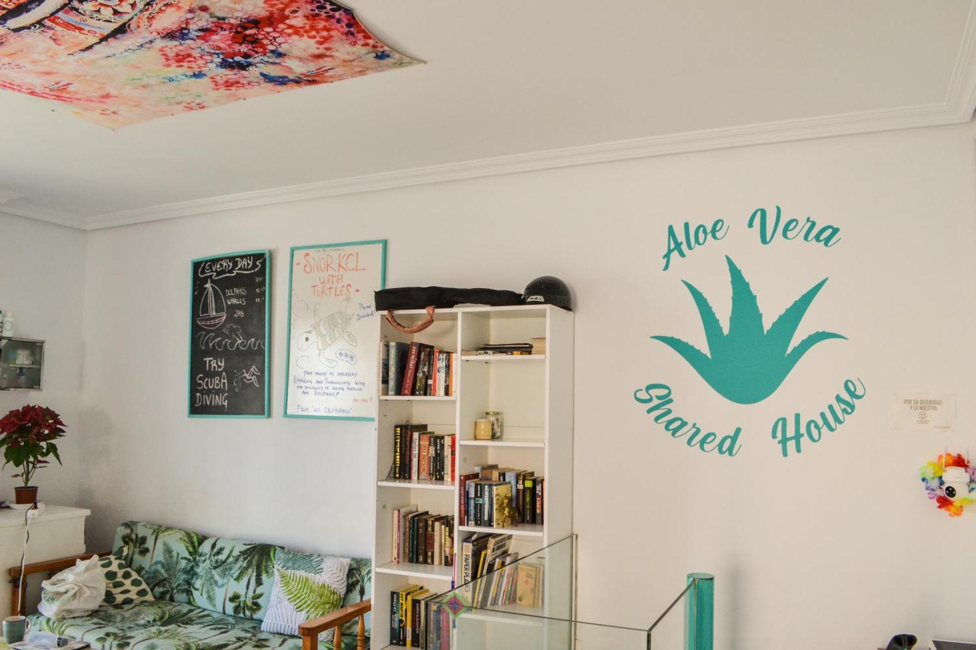 Hostel Aloe Vera Shared House *
