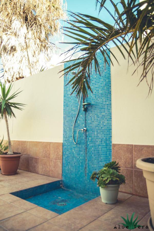 Aloe Vera Shared House